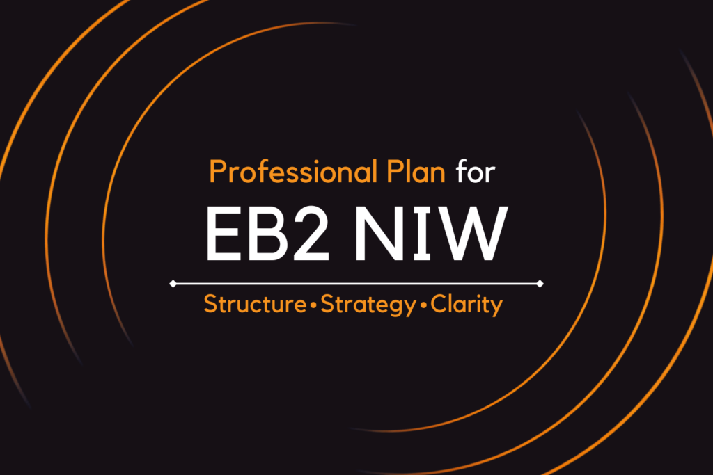 Professional plan for EB2 NIW